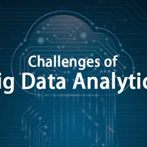 The Risks and Challenges of Data Analytics.