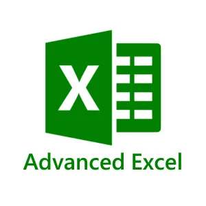 Advanced Excel